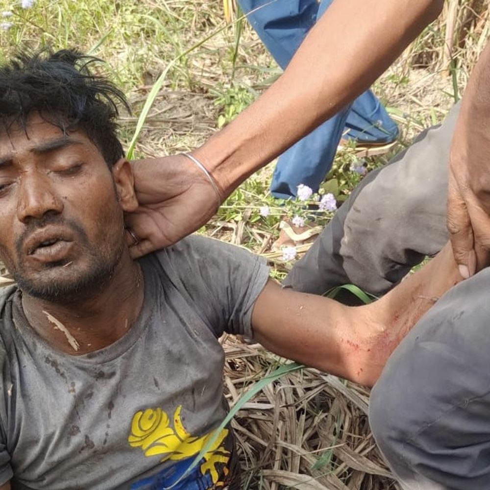 किसान पर बाघ का हमला, मौत:लखीमपुर खीरी में गन्ना काटते समय हुआ हादसा, ग्रामीणों में आक्रोश