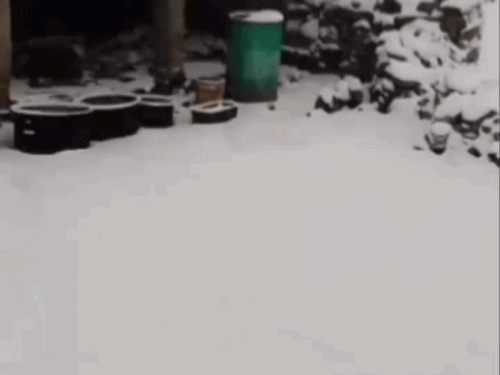 चंबा में बर्फबारी से बढ़ी ठंड, जनजीवन प्रभावित:  ऊंचाई वाले क्षेत्रों में 1 फीट तक हिमपात, बागवान और किसान खुश, पर्यटन स्थलों बढ़ेगी सैलानी – Bharmour News