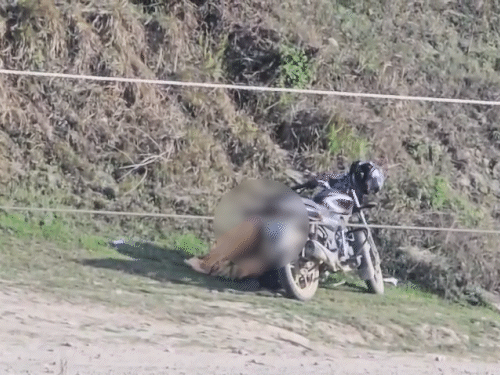 हिमाचल में युवक-युवती ने की अश्लील हरकतें, VIDEO:  झील किनारे बाइक के पीछे छिपे बैठे; दावा- दोनों कॉलेज स्टूडेंट हैं – Mandi (Himachal Pradesh) News