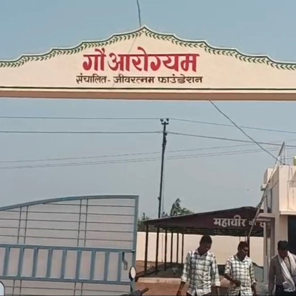 राजनांदगांव में ‘गौ आरोग्यम’ शुरू, बीमार गायों का होगा इलाज:  आधुनिक सुविधाओं के साथ बनेगी मरीजों जैसी फाइल, 24 घंटे देखभाल – Rajnandgaon News