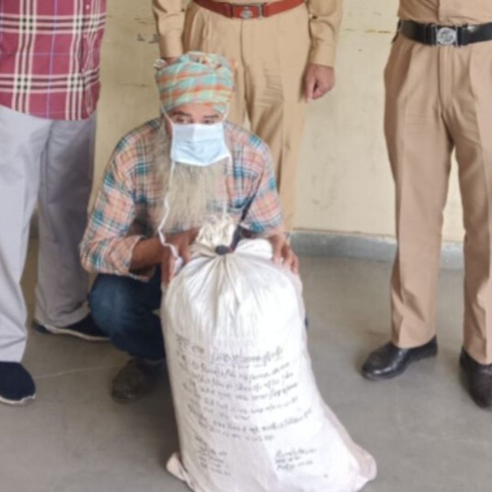 दाखा में अफीम की खेती का भंडाफोड़:  घर की खाली जगह में उगाए, पुलिस ने 376 पौधे जब्त किए, आरोपी अरेस्ट – Jagraon News