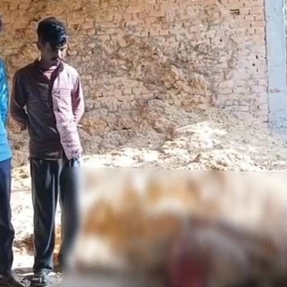 निघासन में तेदुएं ने बछड़े को बनाया निवाला:परिजनों को मिला अधखाया शव, वन कर्मियों की टीम ने जायजा लिया