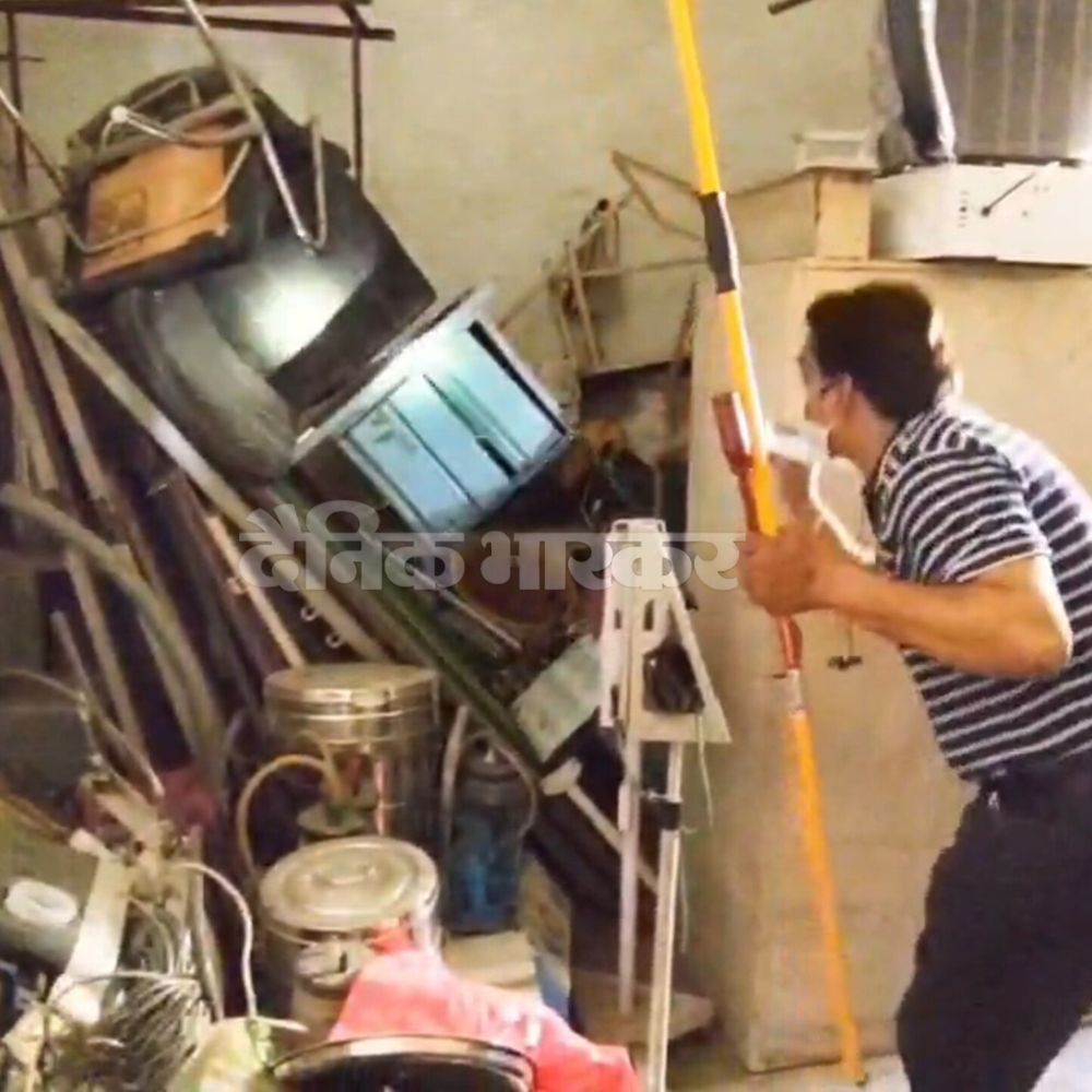 इटावा जिलास्पताल के महिला-शिशु वार्ड के पास दिखा कबरबिज्जू (हनी-बैजर):पैरों के निशान मिलने से पुष्टि, स्टाफ में दहशत; वन विभाग ढूंढने में जुटी