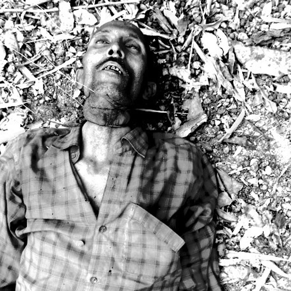 सुल्तानपुर में व्यक्ति का मिला शव:नीम के पेड़ से लटका हुआ था, पूर्वांचल एक्सप्रेस-वे के किनारे की घटना