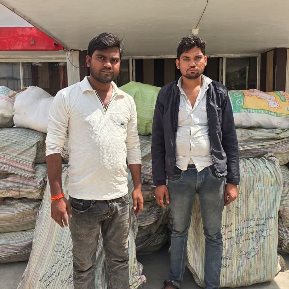 लखनऊ में STF की बड़ी कार्रवाई:कंटेनर से 733 किलो गांजा बरामद, 2 तस्कर गिरफ्तार