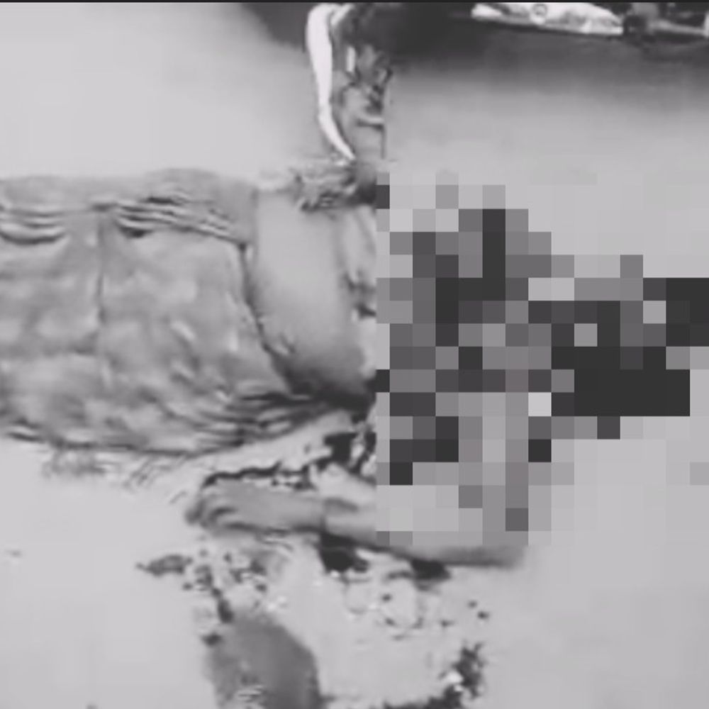 पीलीभीत में ट्रैक्टर-ट्रॉली ने महिला को रौंदा, मौत:चैती मेले से लौटते समय हुआ हादसा, गाड़ी लेकर ड्राइवर फरार