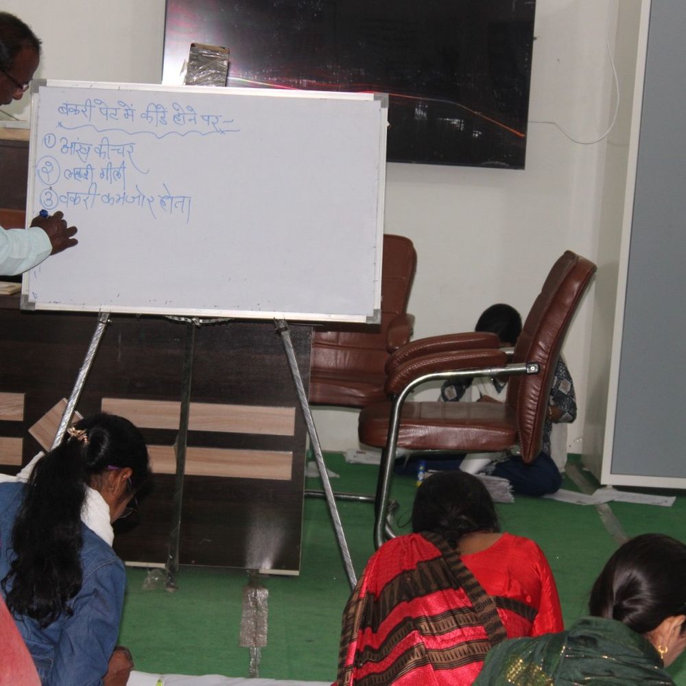 महिला किसानों को बकरी स्वास्थ्य प्रबंधन का प्रशिक्षण मिला:अपेक्षा समिति ने औरैया में 5 दिवसीय कार्यक्रम आयोजित किया