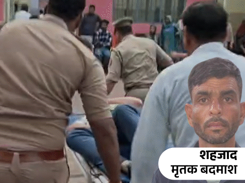 
                 यूपी में गोवंश काटने का आरोपी शहजाद एनकाउंटर में ढेर:एक लाख का इनामी था; 2 सिपाही घायल; DIG ने शाबाशी दी 
            