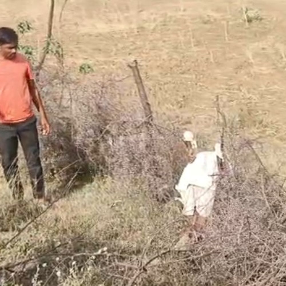 पन्ना में खेत की तारबाड़ी पर मिला किसान का शव:  70 वर्षीय संदिग्ध परिस्थितियों में मौत, पुलिस जांच जारी – Panna News