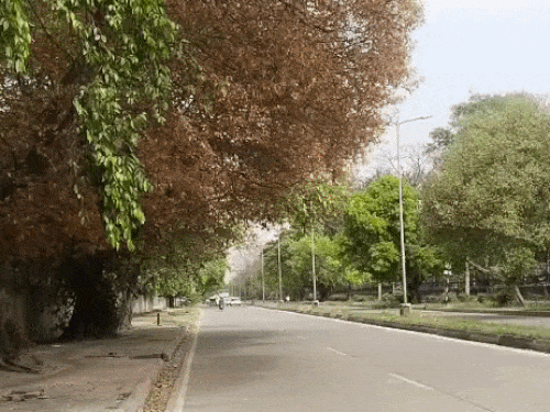 पंजाब-चंडीगढ़ में कल से बारिश और ओलावृष्टि का अलर्ट:  24 घंटे में तापमान 4.7 डिग्री बढ़ा, गर्मी बढ़ी; आज मौसम साफ रहेगा – Punjab News