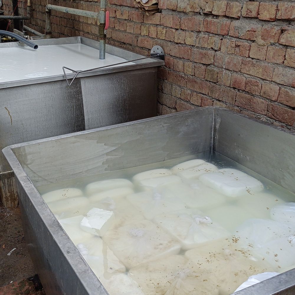 जींद में CM फ्लाइंग की पनीर फैक्ट्री पर रेड:  3 क्विंटल पनीर नष्ट; सैंपल जांच के लिए लैब भेजे, फूड सेफ्टी विभाग भी साथ – Uchana News