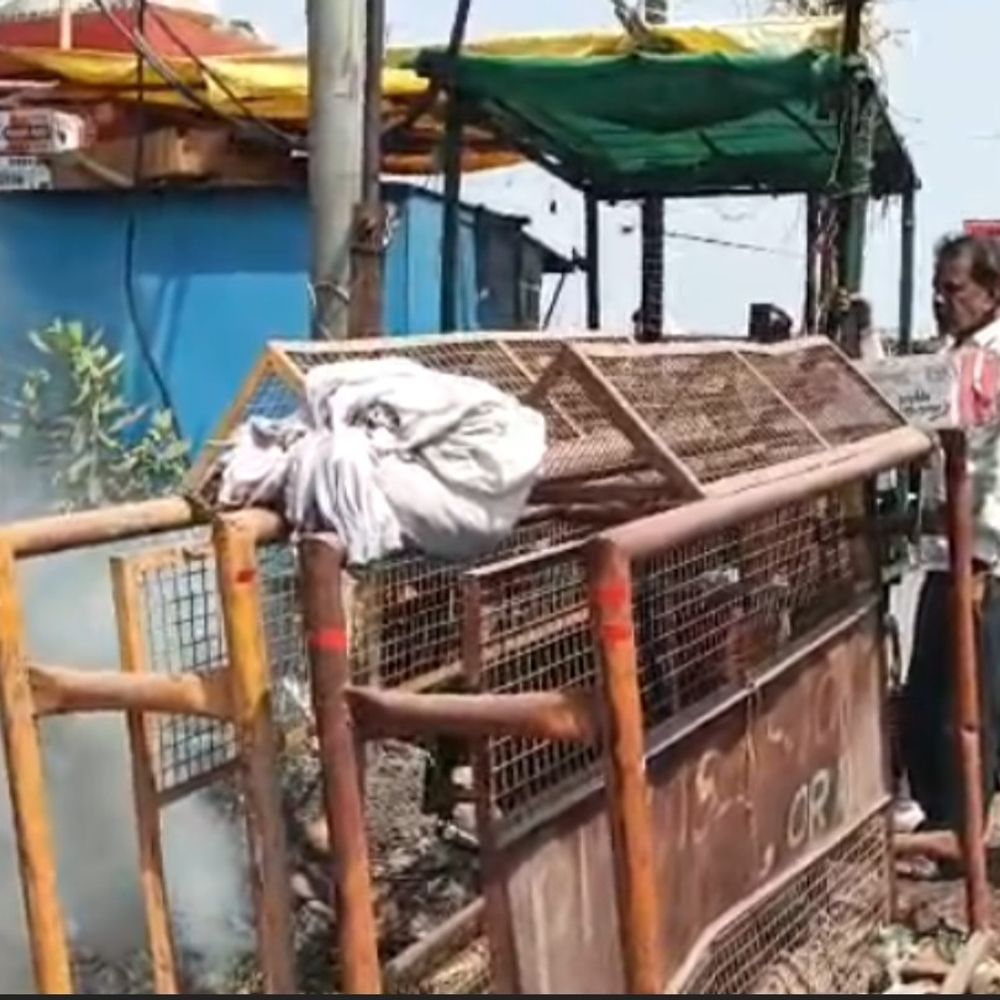 जालौन में बस स्टैंड के पास ट्रांसफार्मर में लगी आग:विद्युत आपूर्ति बाधित, दमकल ने आग पर पाया काबू