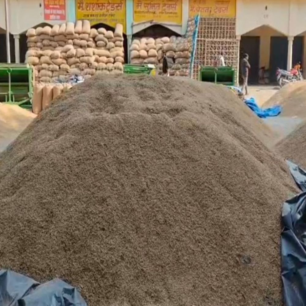 UPSS एजेंसी ने 299 किसानों का भुगतान रोका:शाहजहांपुर में धान खरीद के 6.47 करोड़ रुपये बकाया, किसान परेशान