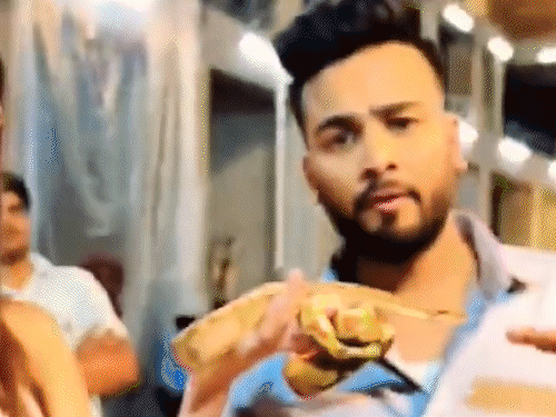 यूट्यूबर एल्विश यादव को बड़ी राहत:सांपों के जहर मामले में कोर्ट ने रद्द की यूपी पुलिस की FIR, नहीं मिले ठोस सबूत