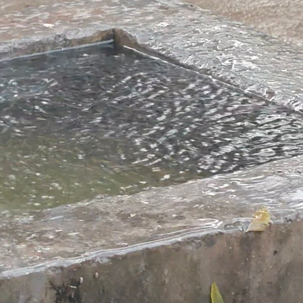 मुजफ्फरनगर में तेज हवाओं के साथ बूंदाबांदी:तापमान 19°C पर गिरा, 11 KM प्रति घंटे की रफ्तार से चली हवा, AQI 94 पहुंचा