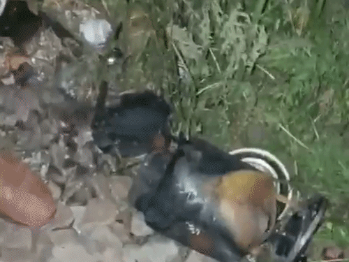 
                 कानपुर में दिल्ली रूट पर फटा सिलेंडर मिला:कैंट एरिया में जलता देख यात्री ने सूचना दी, बैग में प्रतापगढ़ के बुजुर्ग का आधार-मोबाइल मिला 
            