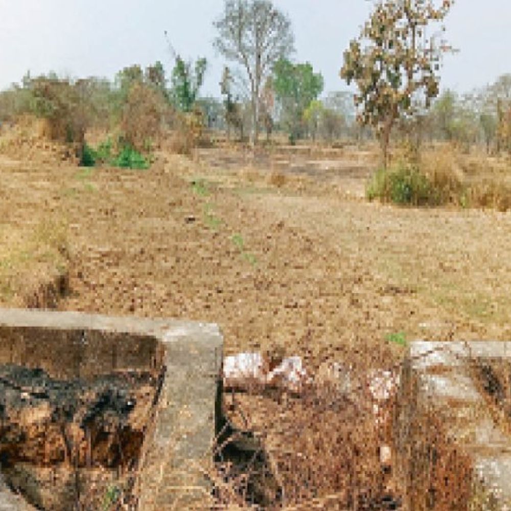 दो पीढ़ी गुजरी नहीं मिला मुआवजा:48 साल में नहीं मिल सका मुआवजा तो किसान ने नहर पाटकर शुरू की खेती