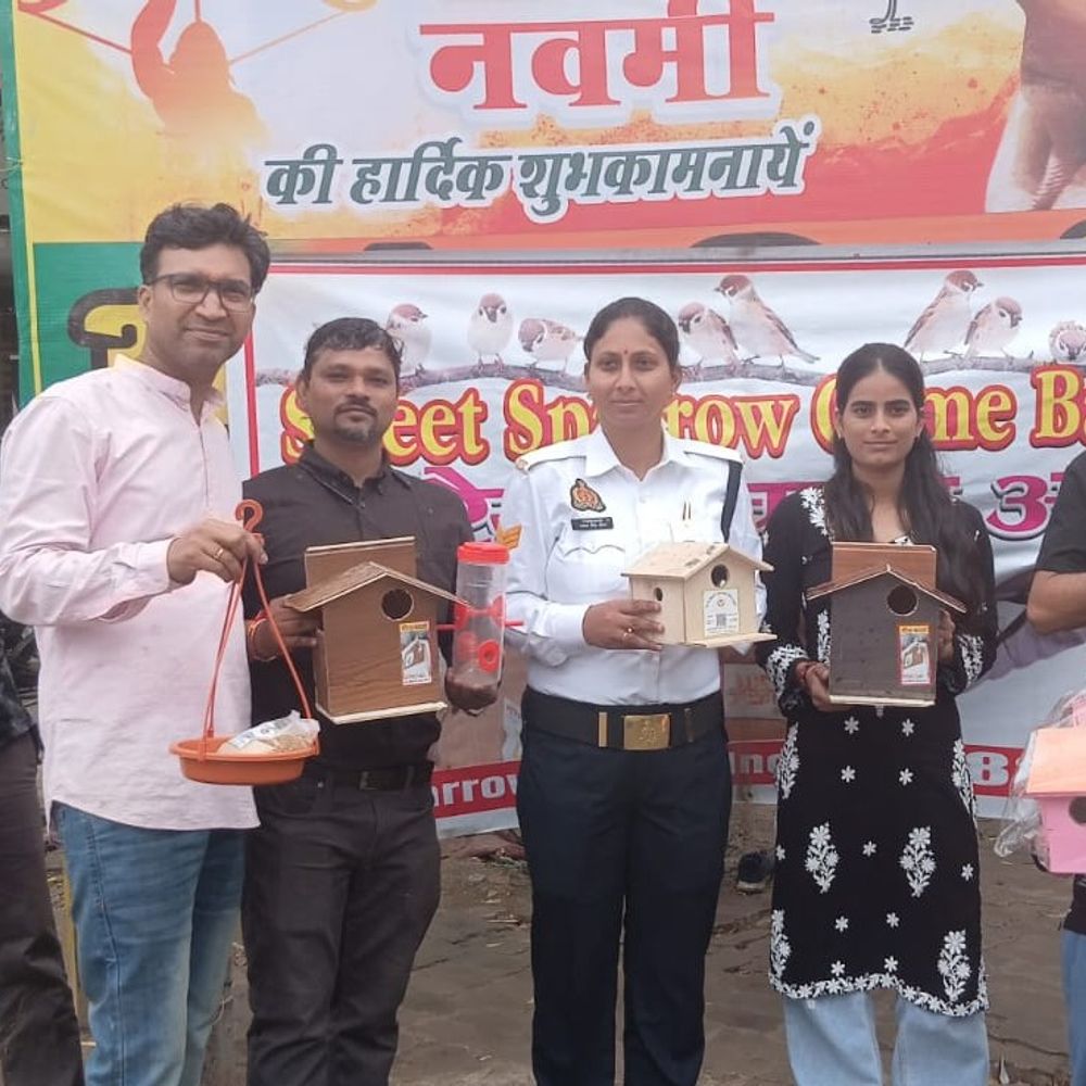 कानपुर में फिर चहकेंगी नन्ही गौरैया:कंक्रीट के जंगलों में 12 साल में बढ़ी 10 गुना संख्या, अब 25 हजार आशियानों का सहारा