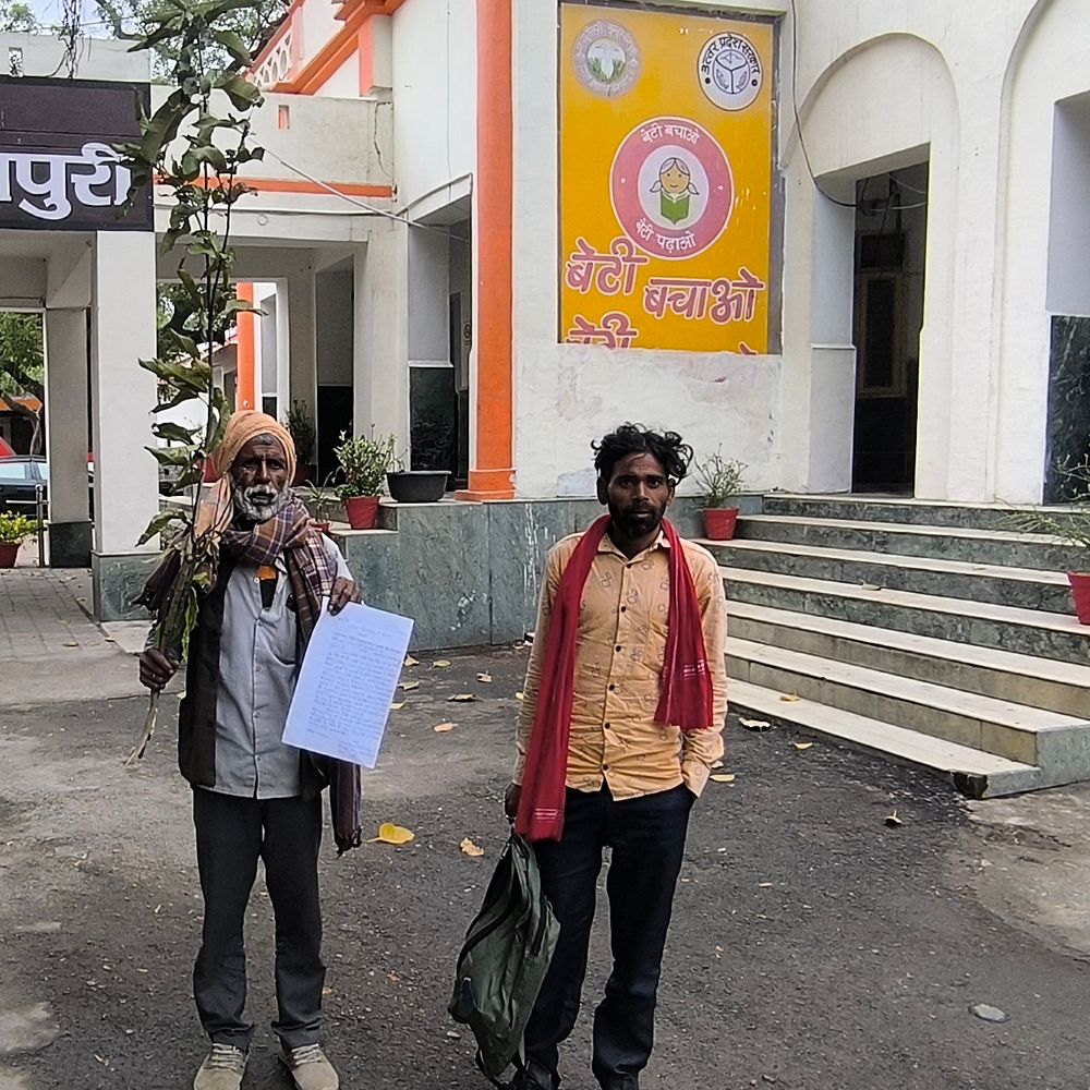 मैनपुरी में दबंगों ने आम, कटहल के हरे पेड़ काटे:पीड़ित ने जिलाधिकारी से की कार्रवाई की मांग