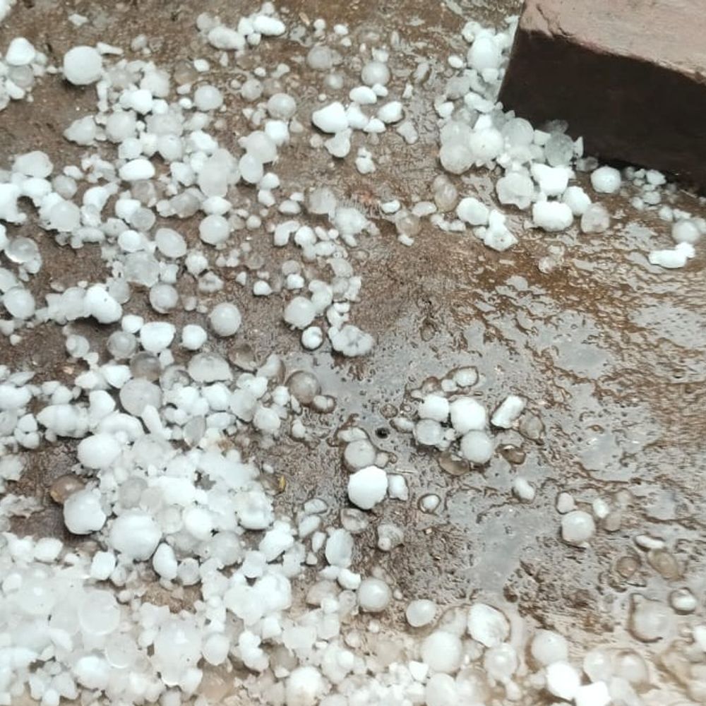 ललितपुर में मौसम बदला, ओले गिरे:ग्रामीण इलाकों में फसलें बर्बाद, गेहूं को सबसे ज्यादा नुकसान