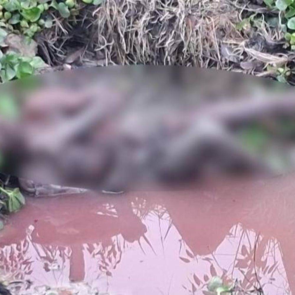 रायबरेली में युवक का शव नाले में बरामद:मछली पकड़ने गए युवक का शव कीचड़ से सना नाले में मिला, परिजनों में रोष