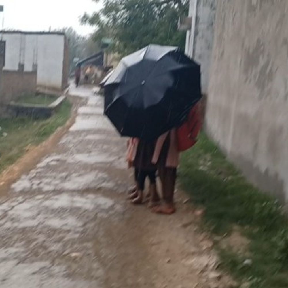 बेमौसम बारिश से तापमान में गिरावट:भदोही में तैयार सरसों की फसल को लेकर किसान चिंतित