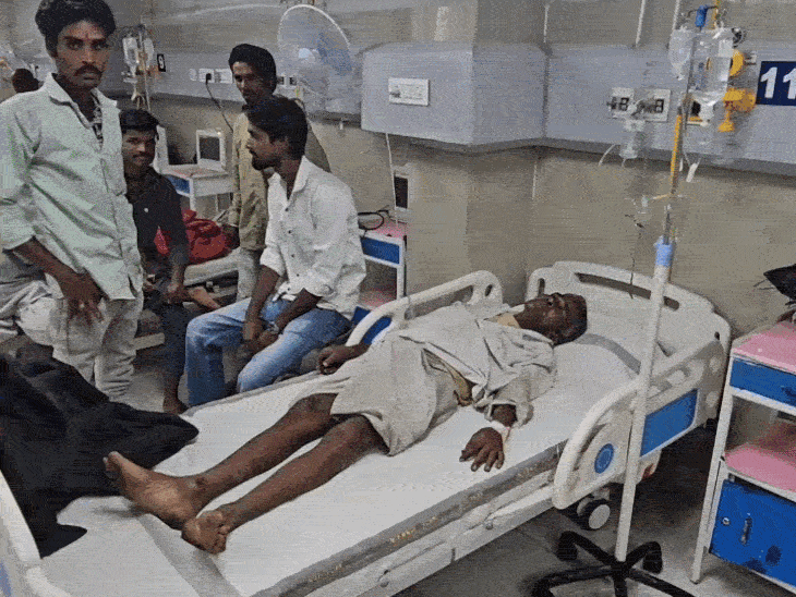 मधुमक्खियों के हमला, एक ही परिवार के 4 लोग घायल:  शाजापुर के जंगल में बकरी चराते समय हादसा, अस्पताल में एडमिट – shajapur (MP) News