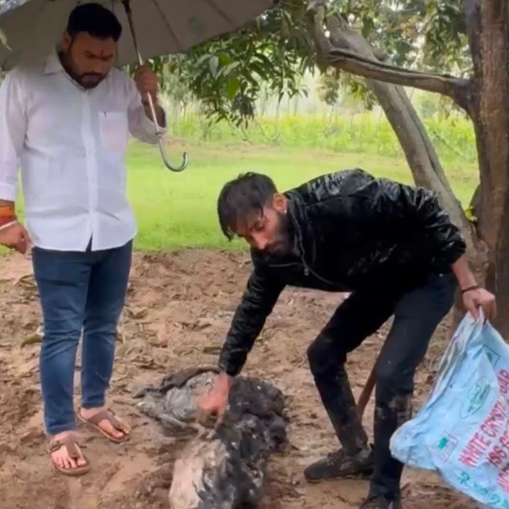 सहारनपुर के जंगल में मिले गोवंश के अवशेष:लोगों ने आरोपियों के खिलाफ की कार्रवाई की मांग