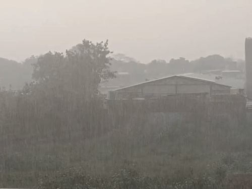 बहराइच में हवाओं के साथ तेज बारिश से तापमान गिरा:गेहूं-दलहन की फसलों को नुकसान की आशंका, निचले इलाकों में जलभराव