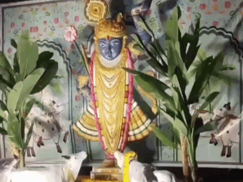 नववर्ष पर उमड़ा आस्था और सनातन का सैलाब:भीलवाड़ा में 15 स्थानों पर हुए संस्कृतिक और धार्मिक आयोजन,देर रात तक गूंजे भारत माता के जयकारे