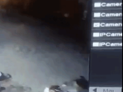 पर्स छीनकर भागे युवक, फिसले तो भाग छोड़ भागे VIDEO:  जिस युवती का पर्स छीना वह चिल्लाते हुए पीछे थी, तब फिसली बाइक – Alwar News