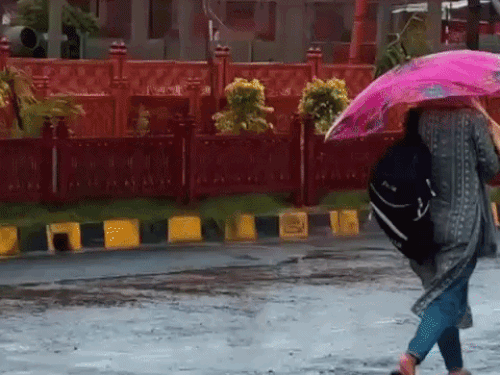 प्रयागराज में तेज बारिश, आंधी का अलर्ट जारी:5°C तक गिरा तापमान; किसानों की फसलों को नुकसान