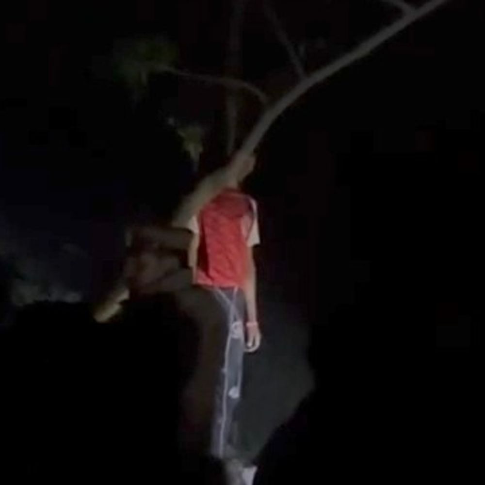 युवक ने फांसी लगाकर आत्महत्या की:मुजफ्फरनगर में शराब के लिए पैसे न मिलने पर मां से हुआ था विवाद