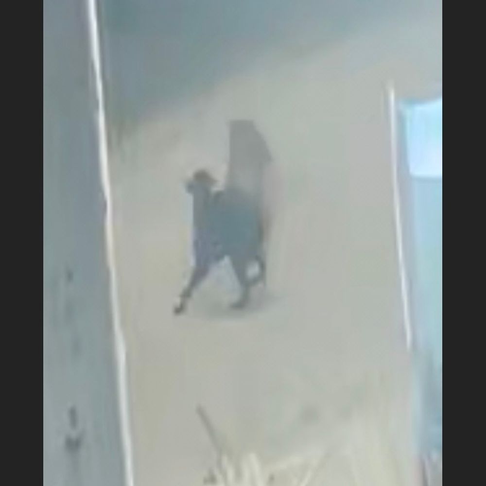 महराजगंज में तेंदुए ने कुत्ते पर किया हमला, VIDEO:पकड़िया-कोटिया गांवों में दहशत, वन विभाग से कार्रवाई की मांग