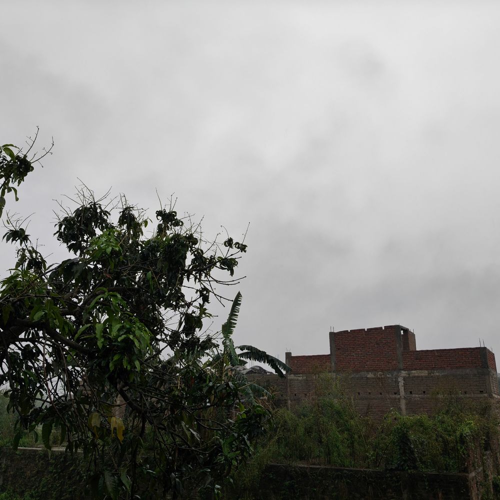 शिवहर में तेज हवा, लगातार बारिश:फसलों को भारी नुकसान, जनजीवन अस्त-व्यस्त