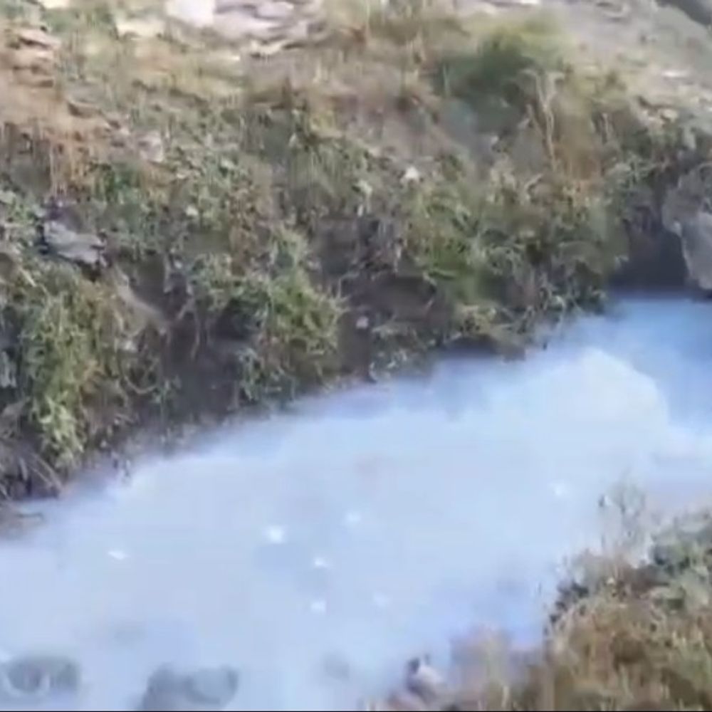 कानपुर देहात में फैक्ट्री के प्रदूषण से पेड़ सूखे:पानी गंदा, जांच के आदेश, डीएम ने दिए जांच के निर्देश