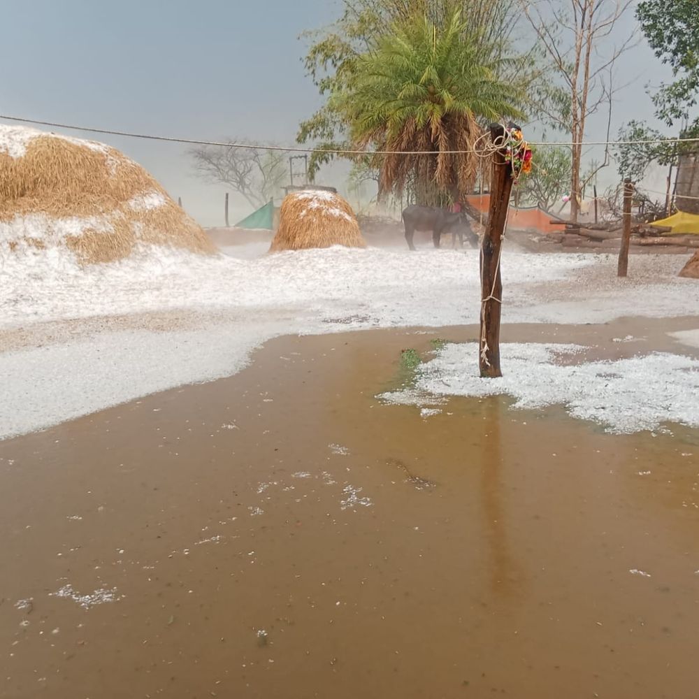 कोंडागांव में शिमला-मनाली जैसी बर्फबारी:  ओलावृष्टि से फसलें तबाह, किसानों की मुआवजा की मांग, राजस्व विभाग कर रहा सर्वे – Kondagaon News