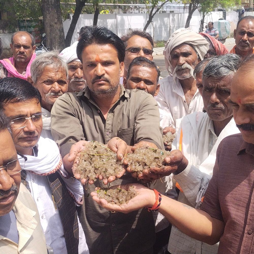 किसान डीएम को दिखाने बोरे में भरकर ओले ले गए:मुआवजे की मांग को लेकर किया प्रदर्शन, बारिश से फसलें खराब हुईं