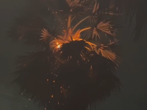 बिहार में आंधी, बारिश, ओले की 18 तस्वीरें:पटना-मुजफ्फरपुर, नालंदा में पेड़ों पर गिरी बिजली, 6 शहरों में ओले; अररिया में BSNL टावर ढहा