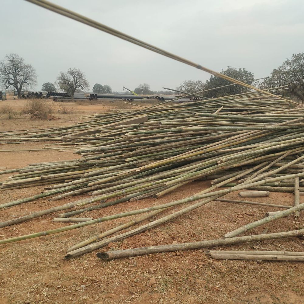 मऊगंज में लकड़ी हेराफेरी का संगठित नेटवर्क पकड़ाया:  ड्राइवर समेत दो गिरफ्तार, जीपीएस से 18 लाख की चोरी का खुलासा; दो आरक्षक लाइन अटैच – Mauganj News