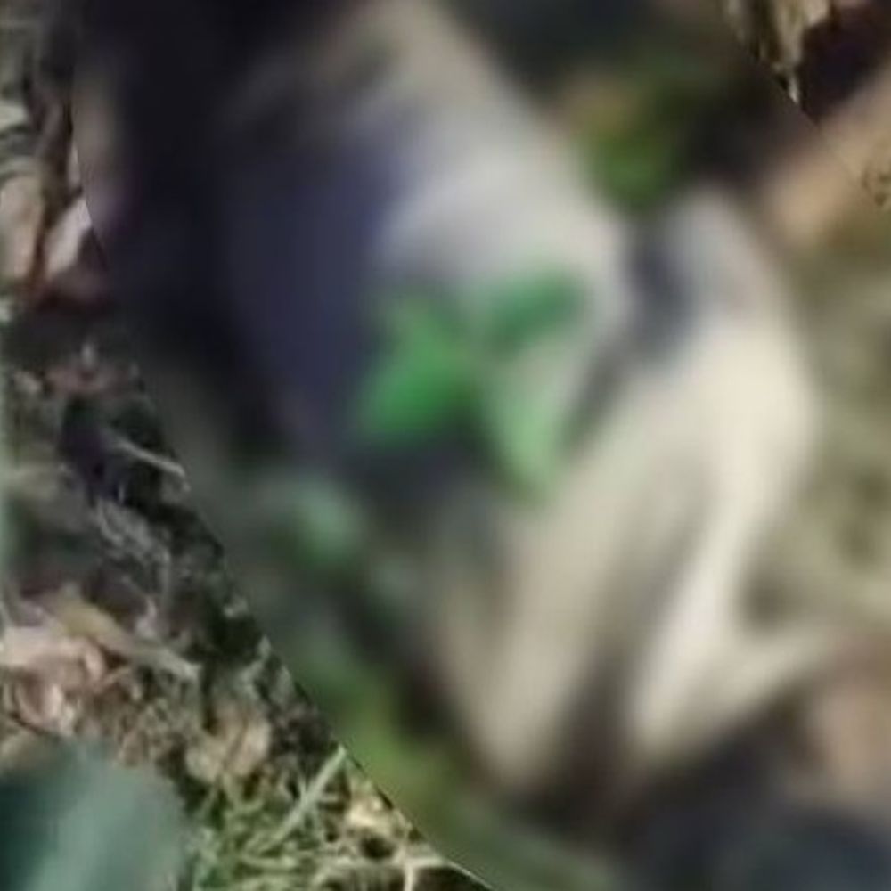 उन्नाव में अज्ञात युवक का शव मिला:बाग में झाड़ियों के बीच ग्रामीणों ने देखा, शिनाख्त में जुटी पुलिस