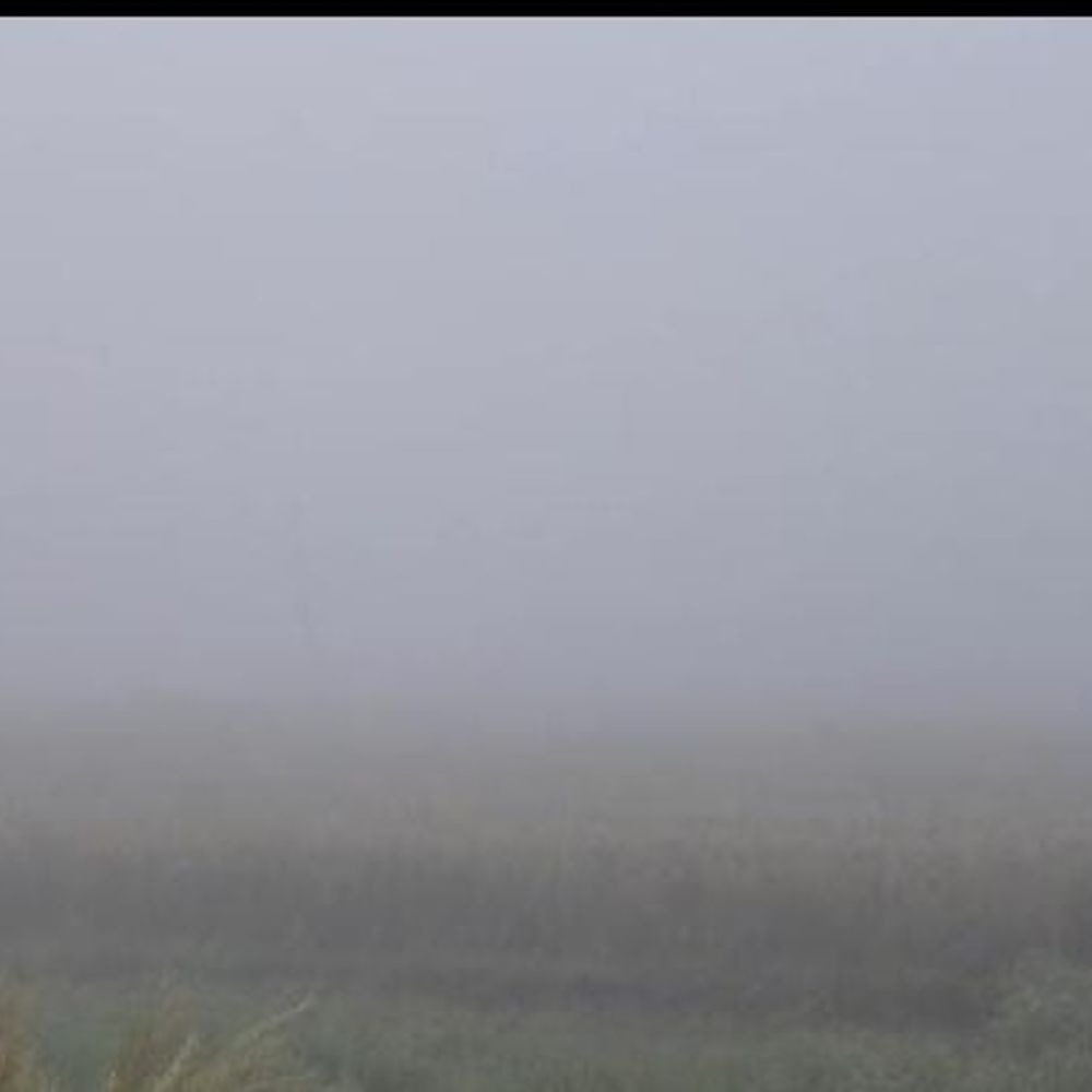 अंबेडकरनगर में बेमौसम कोहरा, ठंड बढ़ी:पश्चिमी विक्षोभ से मौसम बदला, किसानों को फसल नुकसान का डर