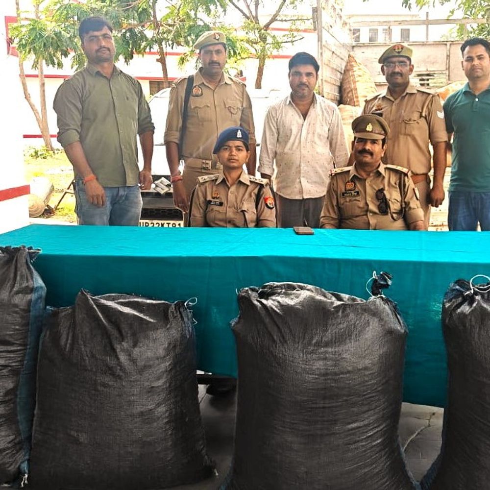 मिर्जापुर में 55 लाख का गांजा बरामद:अंतरजनपदीय तस्कर गिरफ्तार, कार-पिकअप भी जब्त