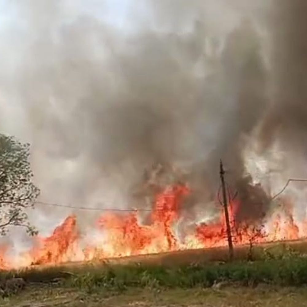 सीहोर में किसानों को सिंचाई के लिए सिर्फ 3 घंटे:किसान रातभर जागने को मजबूर, फसलों का उत्पादन प्रभावित होने का डर