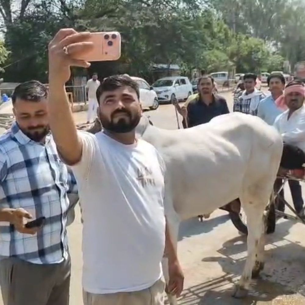 महोबा के युवाओं ने बनाई हाईटेक बैलगाड़ी:बाइक के टायर और स्टील का ढांचा लगाया, दौड़ प्रतियोगिता में लेंगे हिस्सा