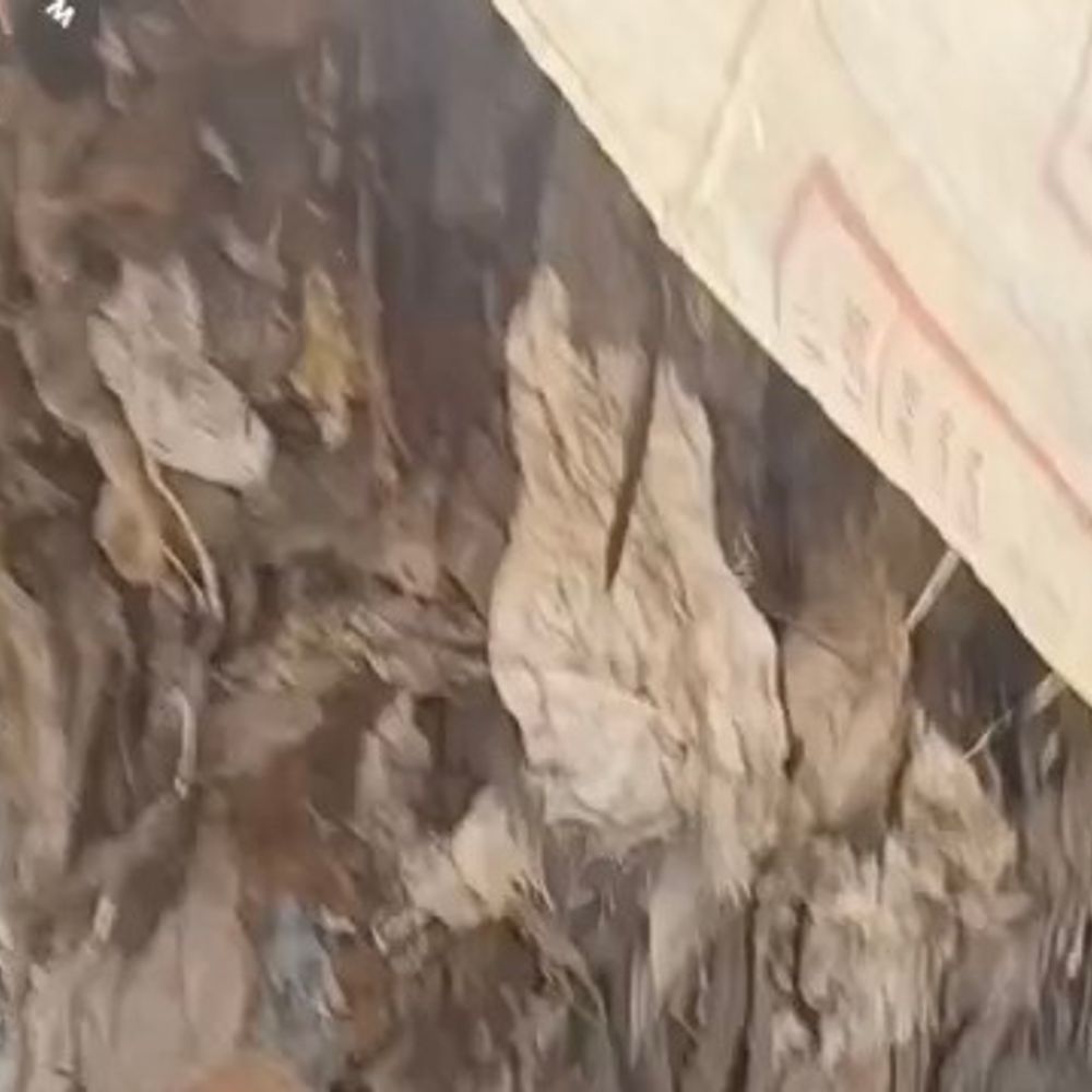 ग्रामीणों ने फिर पकड़ा दिल्ली के कचरे का ट्रक:RDF के नाम पर पेपर मिलों में कूड़ा जला प्रदूषण फैलाने का आरोप