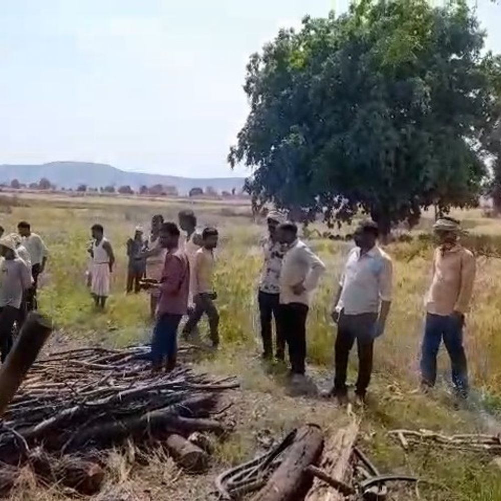 श्मशान घाट न होने से खेतों में अंतिम संस्कार:  दमोह के बंधना गांव में ग्रामीणों की मजबूरी – Damoh News