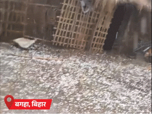 राजस्थान-बंगाल समेत 12 राज्यों में बारिश का अलर्ट:UP-बिहार, दिल्ली में घना कोहरा; हिमाचल में 5 दिन से बर्फबारी, उत्तराखंड-सिक्किम में एवलांच का खतरा बढ़ा