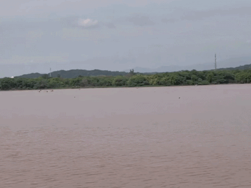 पंजाब के 7 जिलों में आज बारिश के आसार:  तापमान 4.4°C बढ़ा, फिर भी सामान्य से 3.2°C नीचे; भाखड़ा डैम सबसे गर्म 27.6°C – Punjab News