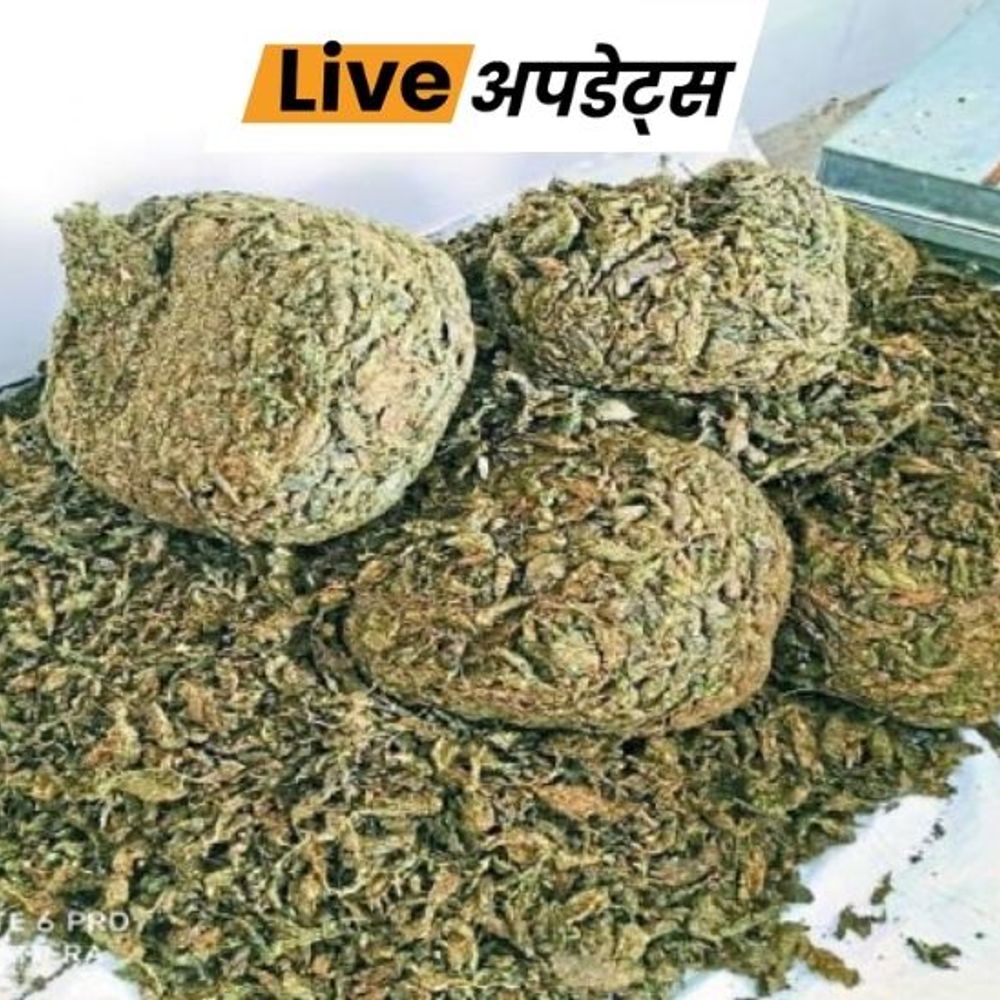 भास्कर अपडेट्स:गुजरात के सूरत में ₹4.54 लाख के गांजे के साथ दो नाबालिग हिरासत में